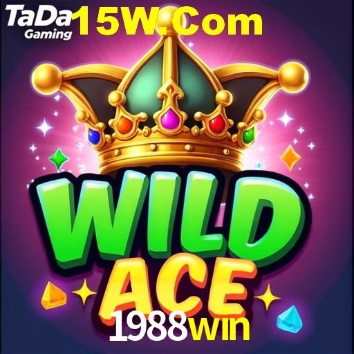 Premium Interface 1988win